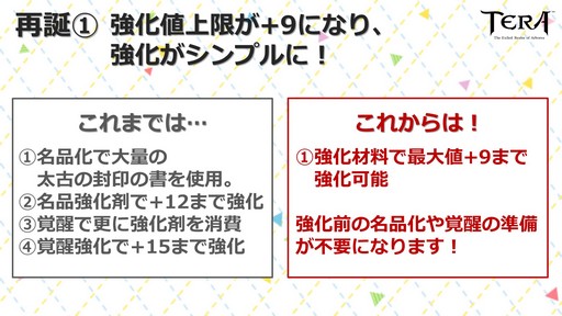 ꡼ No.010Υͥ / TERA 6ǯ˥С꡼ѡƥ in פš2017ǯȾΥɥޥåפ줿٥Ȥݡ