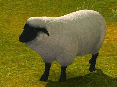 ꡼ No.012Υͥ / TERAסǿåץǡȡ˽ǥꥪ-2018.09UPDATE-פ٥󥸥˽ǥꥪϡפо