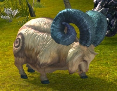 ꡼ No.013Υͥ / TERAסǿåץǡȡ˽ǥꥪ-2018.09UPDATE-פ٥󥸥˽ǥꥪϡפо