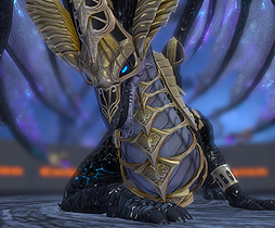 ꡼ No.002Υͥ / TERAפ5Ѥο󥸥֥ꥢθžפϥˤʤ٥Ȥ⥹