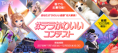 ꡼ No.003Υͥ / 100ޤ⤢롤TERAפΡȥƥ餫襤ɥƥȤȡSS䥤饹ȡΥڥåȤμ̿ʤɤ