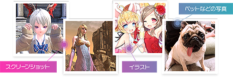 ꡼ No.004Υͥ / 100ޤ⤢롤TERAפΡȥƥ餫襤ɥƥȤȡSS䥤饹ȡΥڥåȤμ̿ʤɤ