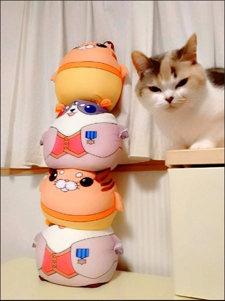 ꡼ No.004Υͥ / TERAפǼ»ܤ줿#ƥ餫襤ƥȡפκͥޤʤɤȯɽˡǯǯϤγƼ磻٥Ȥμ»ܤͽ