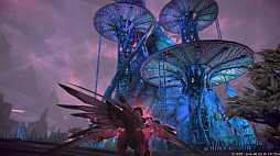 ꡼ No.029 | PCѡTERAפ緿åץǡȡֶȥɡɡפҲ𡣥ڡԤ⤹˶ؤΩƤ