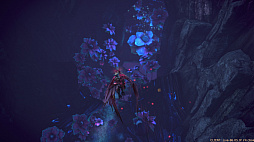 ꡼ No.033 | PCѡTERAפ緿åץǡȡֶȥɡɡפҲ𡣥ڡԤ⤹˶ؤΩƤ