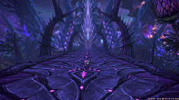 ꡼ No.036 | PCѡTERAפ緿åץǡȡֶȥɡɡפҲ𡣥ڡԤ⤹˶ؤΩƤ