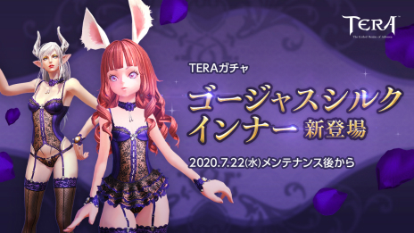 ���������꡼ No.006�Υ���ͥ������ / ��TERA�ס�8��5���˼�������륢�åץǡ��ȡ�Remaster�ξ��󤬸��������饤����Ȥ�64�ӥåȲ��䡤�ޥå��󥰥����ƥ�β����ʤɤ��ʤ����