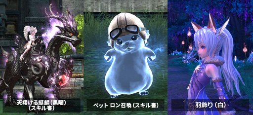 ꡼ No.002 | TERA VISAɡפŵ˥塼롣()ʤɥ쥢ʥƥब館