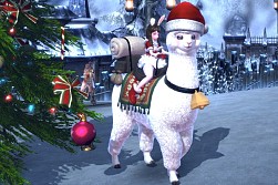 画像ギャラリー No.006のサムネイル画像 / 「TERA」の最新アップデート「極限の覇者」が配信。難度に応じて報酬が豪華になる「極限モード」や,記録カードの合成システムが実装に