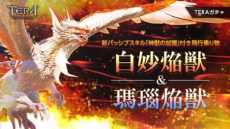 ꡼ No.002 | TERAפ˿ʥ󥸥ɲä륢åץǡȡȻ෺ζɤץ쥤䡼λٱ祭ڡ⥹