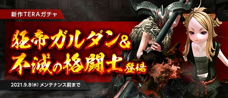 ꡼ No.006Υͥ / TERA׿󥸥ޤǿåץǡȤ728˼»ܡܥʤ꤭꿷Хо