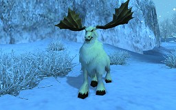 ꡼ No.018Υͥ / ٥륭å׳ȼп夲Ǥ³о졪SEKIHEKI緿åץǡȡUPDATE Ver.6 ˤι