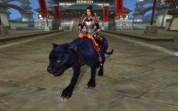 ���������꡼ No.005�Υ���ͥ������ / ��SEKIHEKI�ץ����ॻ���롣�����������ϷФ򽸤��ȵ���ڥåȤ�