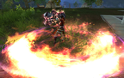 ꡼ No.005 | ɥǥSEKIHEKIפ緿åץǡȡֿʤư-ޤѤSEKIHEKI-פǼ뿷²²פʤɤξ