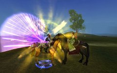 ꡼ No.017Υͥ / SEKIHEKIפ6222ǯޤǤΥåץǡȤưǳǧ褦