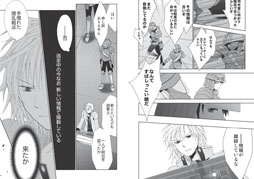 ꡼ No.003 | ַե륳ޥ vol.21ץޥɼԤؤ̵ۿ򳫻