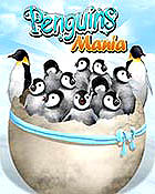 �ѥå�����