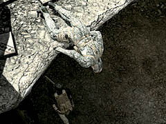 画像集#020のサムネイル/あのスネークが戦場に帰ってきた。最新作「METAL GEAR SOLID 4」の発売が急接近