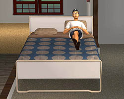 画像集#013のサムネイル/EA,「ザ・シムズ2 IKEAホームパック」のイベントを本物のIKEAショップで開催