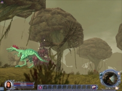 ꡼ No.008 | ֥֡פȤξ̿о졤CroXino --׽緿åץǡȤ»