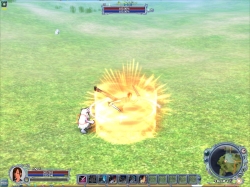 ꡼ No.017 | ֥֡פȤξ̿о졤CroXino --׽緿åץǡȤ»