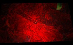 ꡼ No.017 | COMPUTEX2010ǯNVIDIAϡ֥åȡDX113DΩλ롣NVIDIAץ쥹ե󥹾