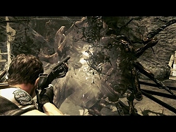 ꡼ No.004Υͥ / ɲǤǧǤ롤PCǡ֥Хϥ5פκǿȥ쥤顼ࡼӡ