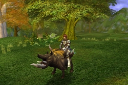 ���������꡼ No.003�Υ���ͥ������ / �ޥ��ϥ�����2�����Ƥˡ���MysticStone�ס���ե����ॷ���ƥ����ݥ����ƥब��������