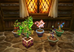 画像ギャラリー No.048のサムネイル画像 / 【PR】遊びやすくて奥が深い!「MysticStone -Runes of Magic-」特集:第一回は正式サービス開始後のアップデートに迫る