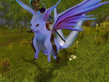 ���������꡼ No.002�Υ���ͥ������ / ��MysticStone���緿���åץǡ�����2�ϡ֥���դ��¸��פ�12��9���˼���������SNS�����������ץ�