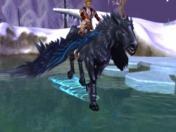 ���������꡼ No.011�Υ���ͥ������ / ��MysticStone�ס�1��ǯ��ǰ�Ƿи���/TP/�ɥ��å�Ψ��2�ܤ�