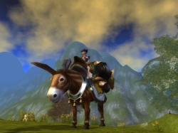 ���������꡼ No.004�Υ���ͥ������ / ��MysticStone�ץ���С������󥫥ץ���ˡ������Ǻ५�ץ�����о�