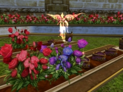 ���������꡼ No.004�Υ���ͥ������ / ��MysticStone�ס����ڤʤ��οͤˡȰ��Υ�å������ɤ�������