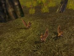 ���������꡼ No.003�Υ���ͥ������ / ��MysticStone�ס����Υ��٥�Ȥ�ŷ�Ȥ�����˶��Ϥ��ơ���פ�������褦