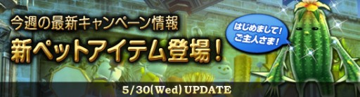 ���������꡼ No.002�Υ���ͥ������ / ��MysticStone�ס���ȴ�ʳ����ο��ڥåȡ֥ߥ˲֥��ܥƥ�ڥåȡפ��о�