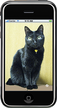 ������#001�Υ���ͥ���/��iPhone�ϡ��ͥ���ʤǤ���Ĥ�����ʹ���������ϥ��ץ��о�