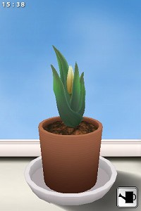 #003Υͥ/iPhoneϲ֤Ƥ֥ݥåȥեס1Ƥϥ塼å