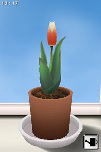 #004Υͥ/iPhoneϲ֤Ƥ֥ݥåȥեס1Ƥϥ塼å