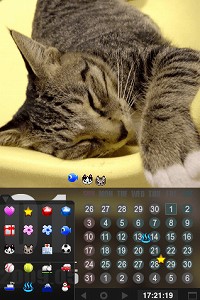 ���������꡼ No.003�Υ���ͥ������ / ��iPhone�ϥ�뤤ǭ�Υ���餬�������Τ餻�륢�ץ�ֻ�ǭ�ߤ�ӡ��ۿ�