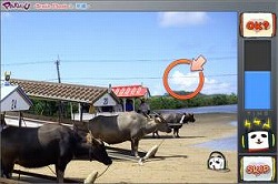 画像ギャラリー No.003のサムネイル画像 / ［iPhone］かわいい＆脳トレ「パンヌ - BrainFlash in沖縄」配信