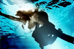 ���������꡼ No.003�Υ���ͥ������ / ��iPhone�ϵ��ˤʤ�ͤȤ����ˡ��ե��󥬡��ѥ����Q?pid���ۿ�