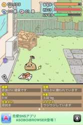 画像ギャラリー No.012のサムネイル画像 / iPhone向けアプリ「ゆるふわ育成ゲーム MEGU」8月上旬配信開始
