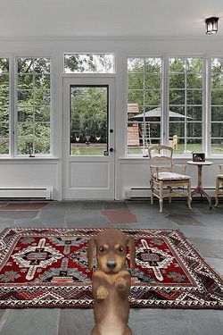 画像ギャラリー No.002のサムネイル画像 / 【リリース】撮影した場所が子犬の部屋に。「マイドッグ マイルーム」,配信中