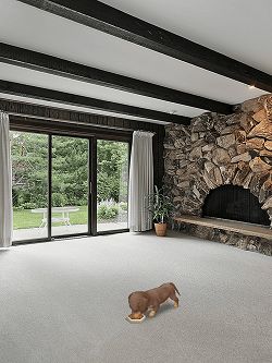 画像ギャラリー No.007のサムネイル画像 / 【リリース】撮影した場所が子犬の部屋に。「マイドッグ マイルーム」,配信中