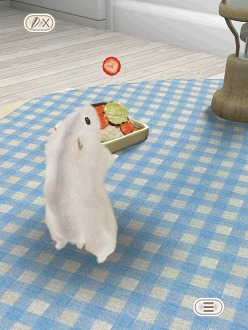 ꡼ No.002 | İϥॹȿ礪HamTouch!פiPhone/iPod touchǤiPadǤ꡼