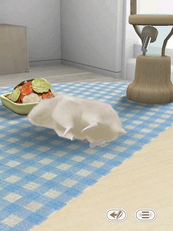 ꡼ No.003 | İϥॹȿ礪HamTouch!פiPhone/iPod touchǤiPadǤ꡼