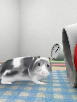 ꡼ No.007 | İϥॹȿ礪HamTouch!פiPhone/iPod touchǤiPadǤ꡼