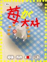 ꡼ No.010 | İϥॹȿ礪HamTouch!פiPhone/iPod touchǤiPadǤ꡼