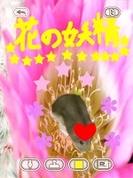 ꡼ No.011 | İϥॹȿ礪HamTouch!פiPhone/iPod touchǤiPadǤ꡼