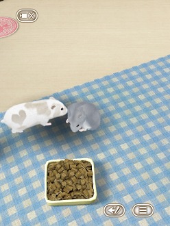 ꡼ No.013 | İϥॹȿ礪HamTouch!פiPhone/iPod touchǤiPadǤ꡼